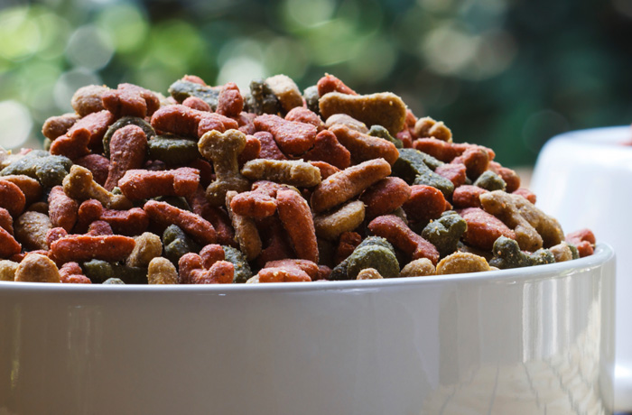 alimento animal