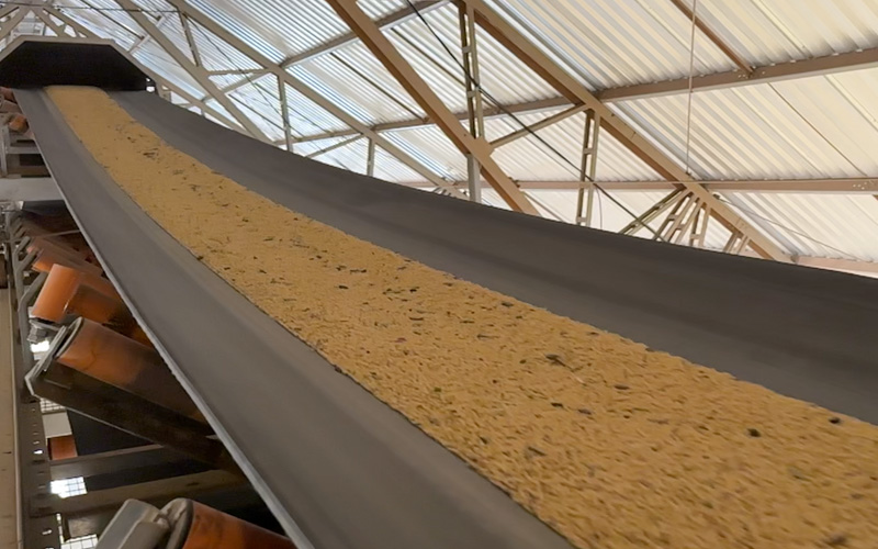 tecnal transporte banda